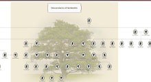 Family Ulster Tree Chart